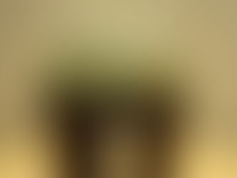 パラシュートのようなドーム状のユーフォルビア・オベサ/Euphorbia Obesa 塊根植物/コーデックス 観葉植物 無料引取 PLANtRプラントル 植物の再利用