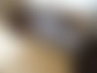 「ZEN/禅」のテイスト ACTUS SENZA TABLE 家具・デザインアイテムの買取 PLANtR