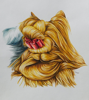 Yorkie For Online small pixels.png