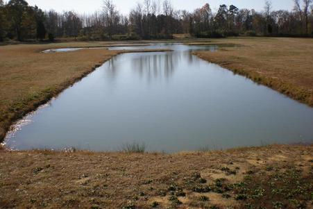 Technical Pond.jpeg