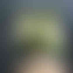 flower arrangement blue wall