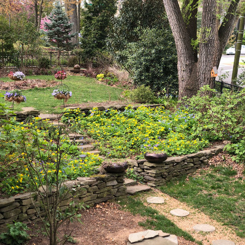 bed of yellow and blue wildlfowers