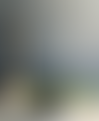 spade and small plant