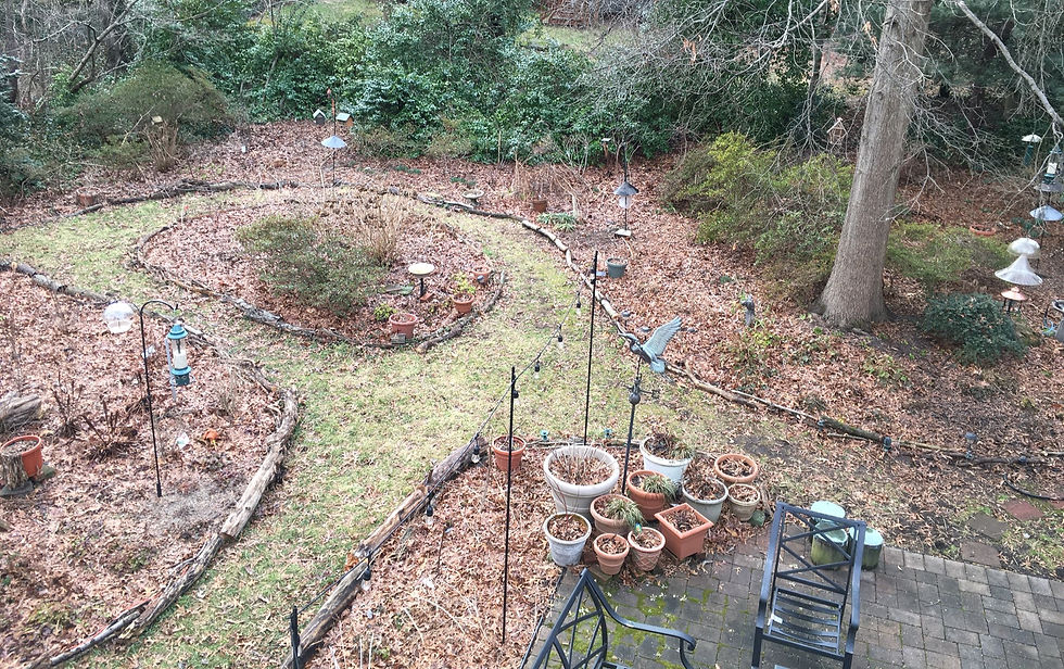 native plant garden in winter converted from 90% lawn to 90% garden