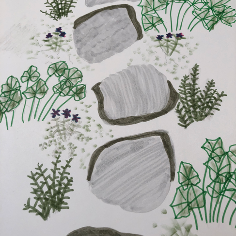 garden path sketch