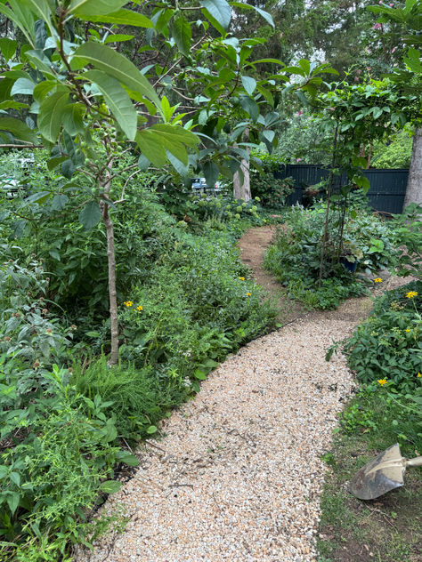 shady side garden bed