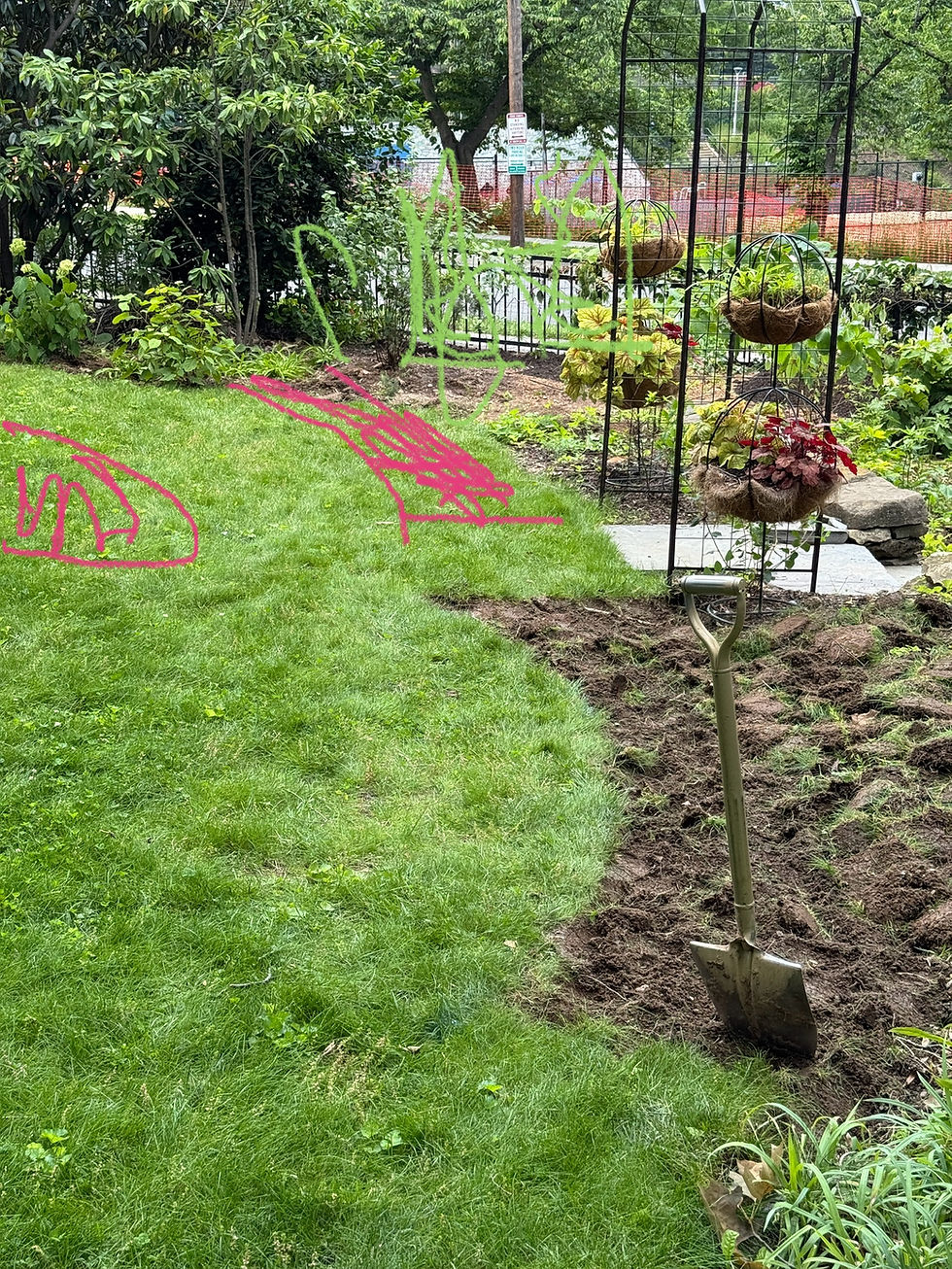 grass , garden beds, arch and sketch for planting