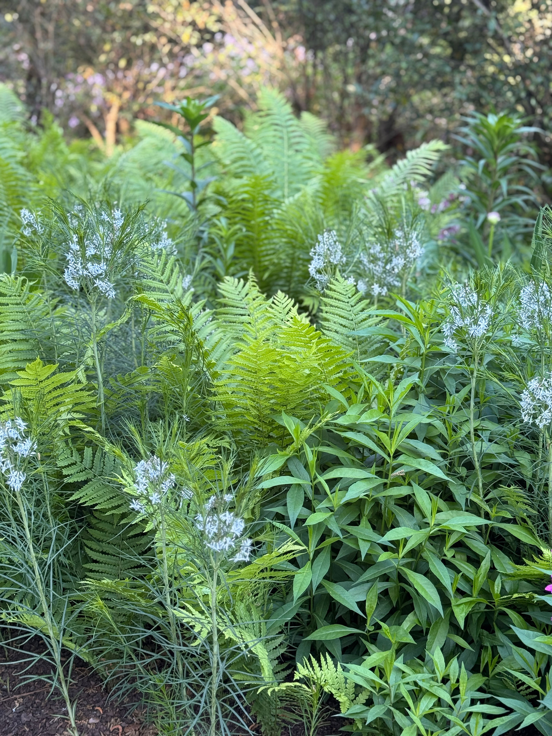 green plants blue flowers