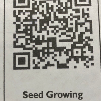 QR Code to Link to More Native Seed Growing Info