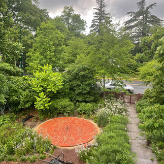An Exuberant Native Garden