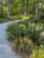 wide stone path through woods