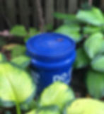 tallamy mosquito larva bucket