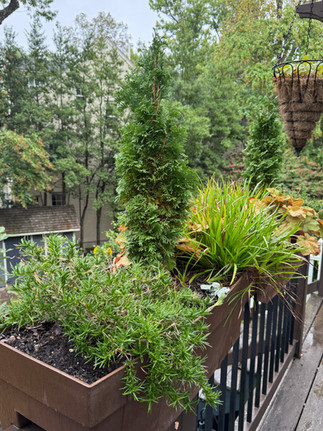 year round window box