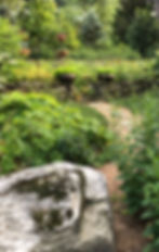 garden scene with large rock