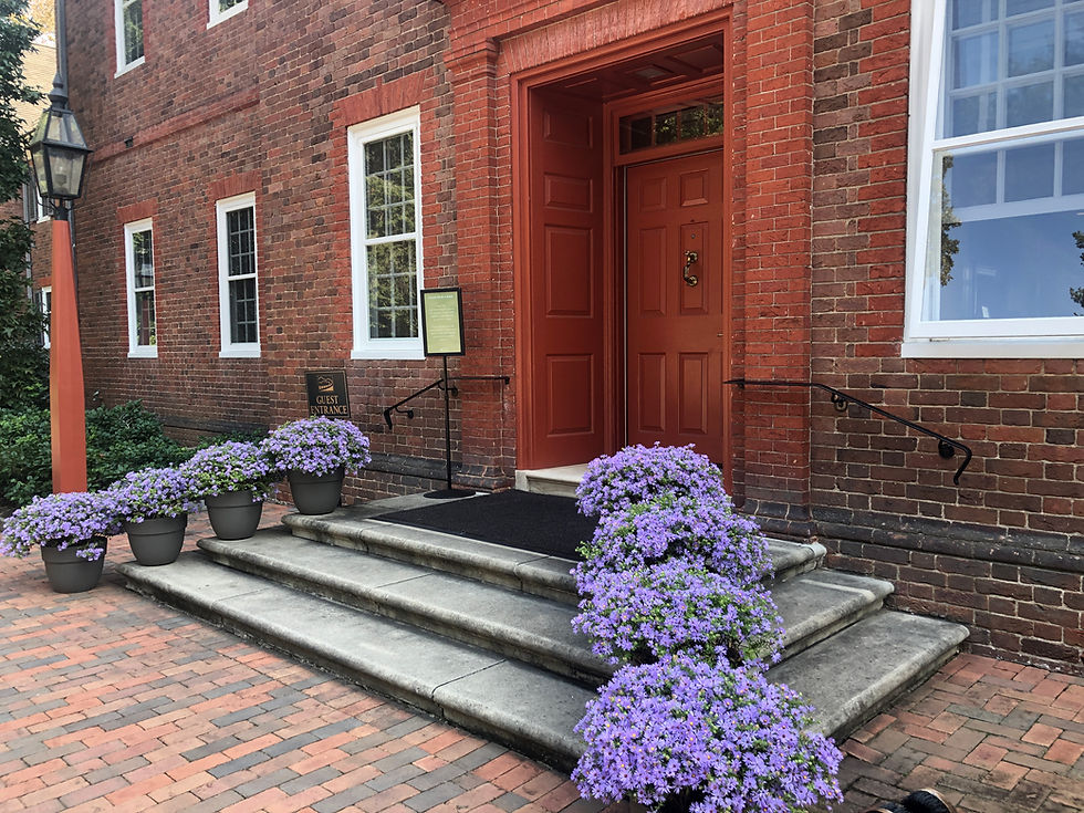 native plants in containers formal look