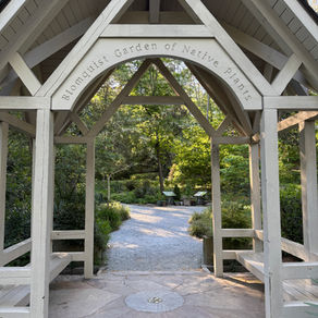 Native Plant Garden Inspiration: North Carolina Style