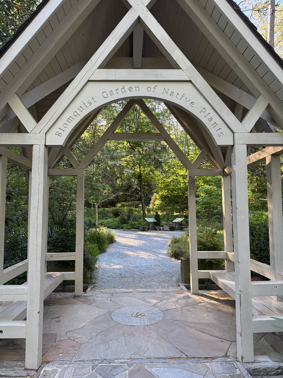 Native Plant Garden Inspiration: North Carolina Style