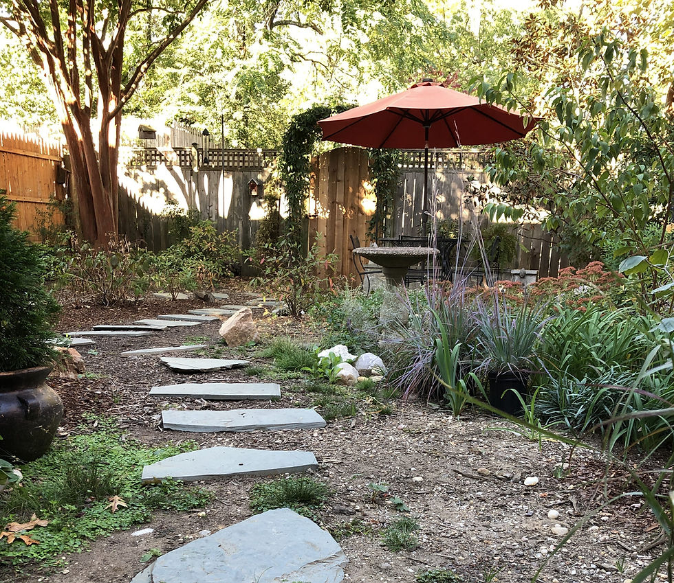 Native Plant Narratives: Artistic Touches to a DC Row Home