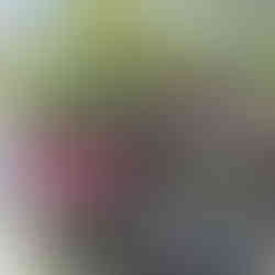 green and yellow plant, red plant and purple plant and pots