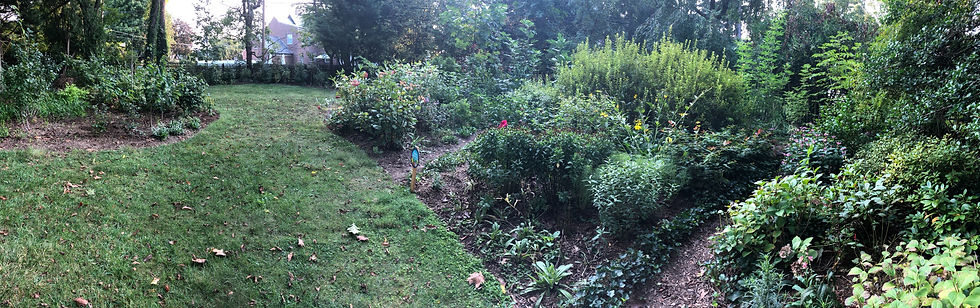 lawn and garden beds in native plant garden maryland