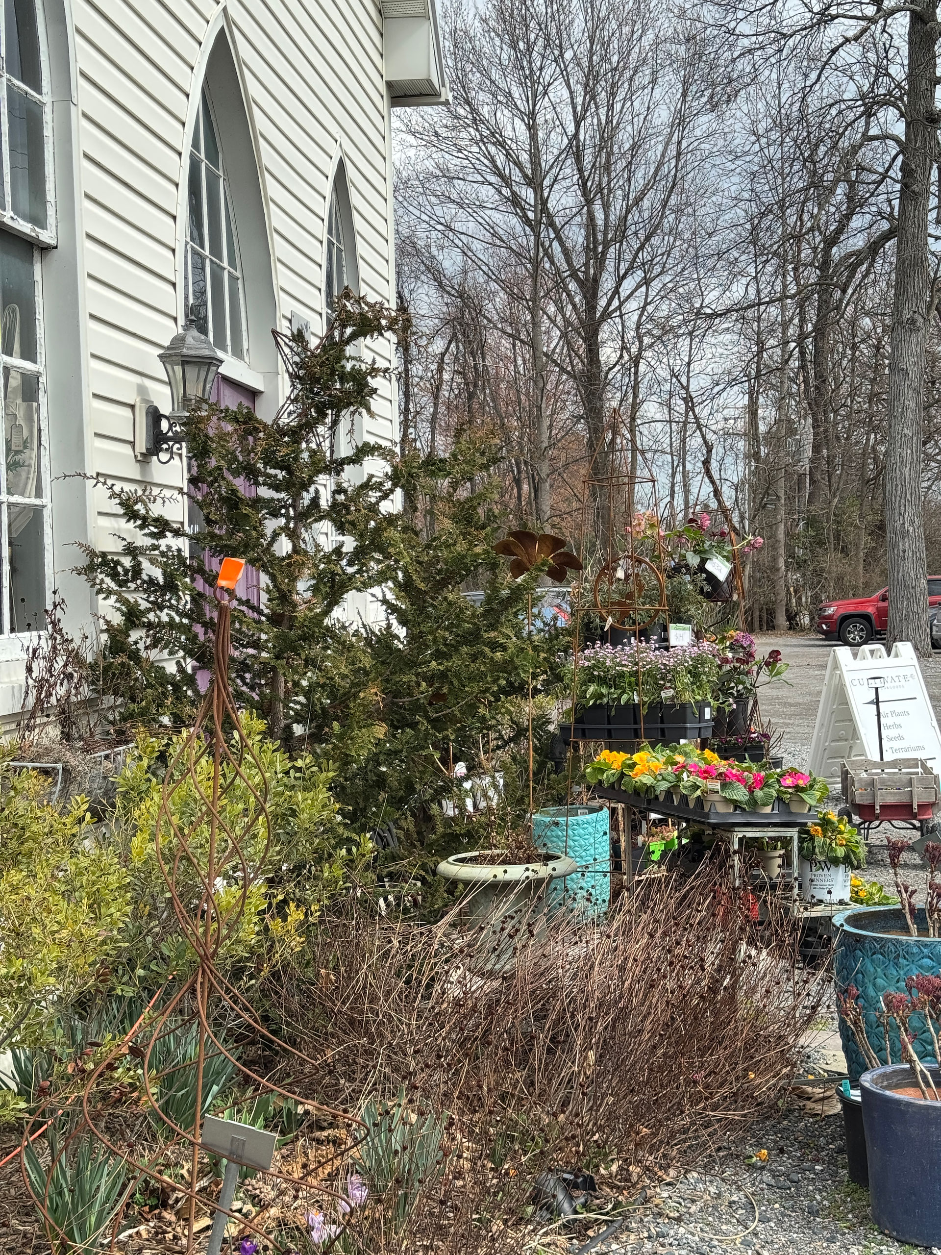 plants in front of building
