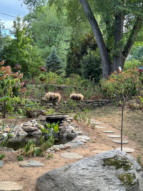 Lessons from Your Garden When It Is Dry