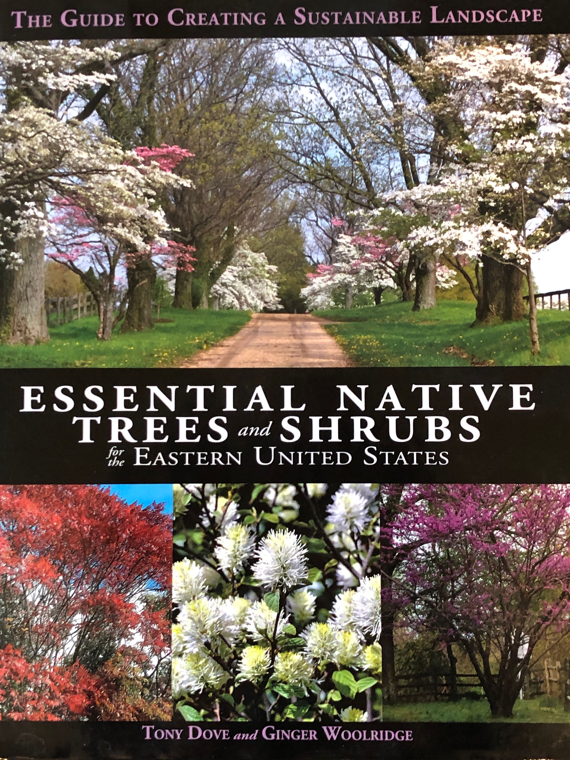 book on native trees and shrubs
