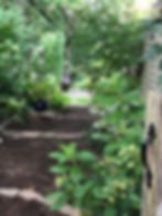 side yard entrance to native plant garden
