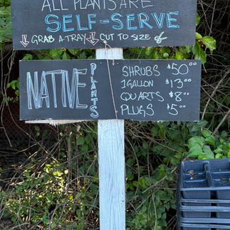 chalk board sign with prices