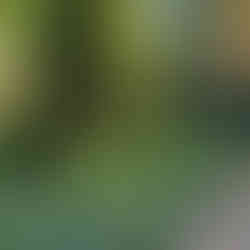 green plants light blue flowers wall