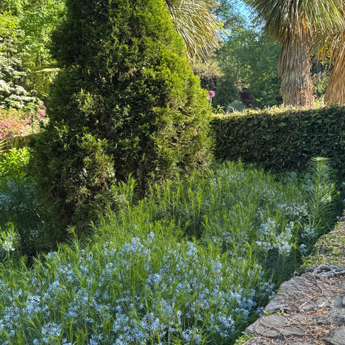 green plants light blue flowers wall