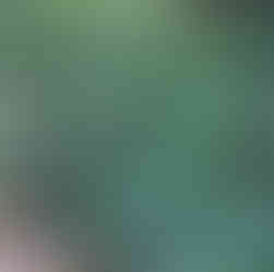 short blue green plants