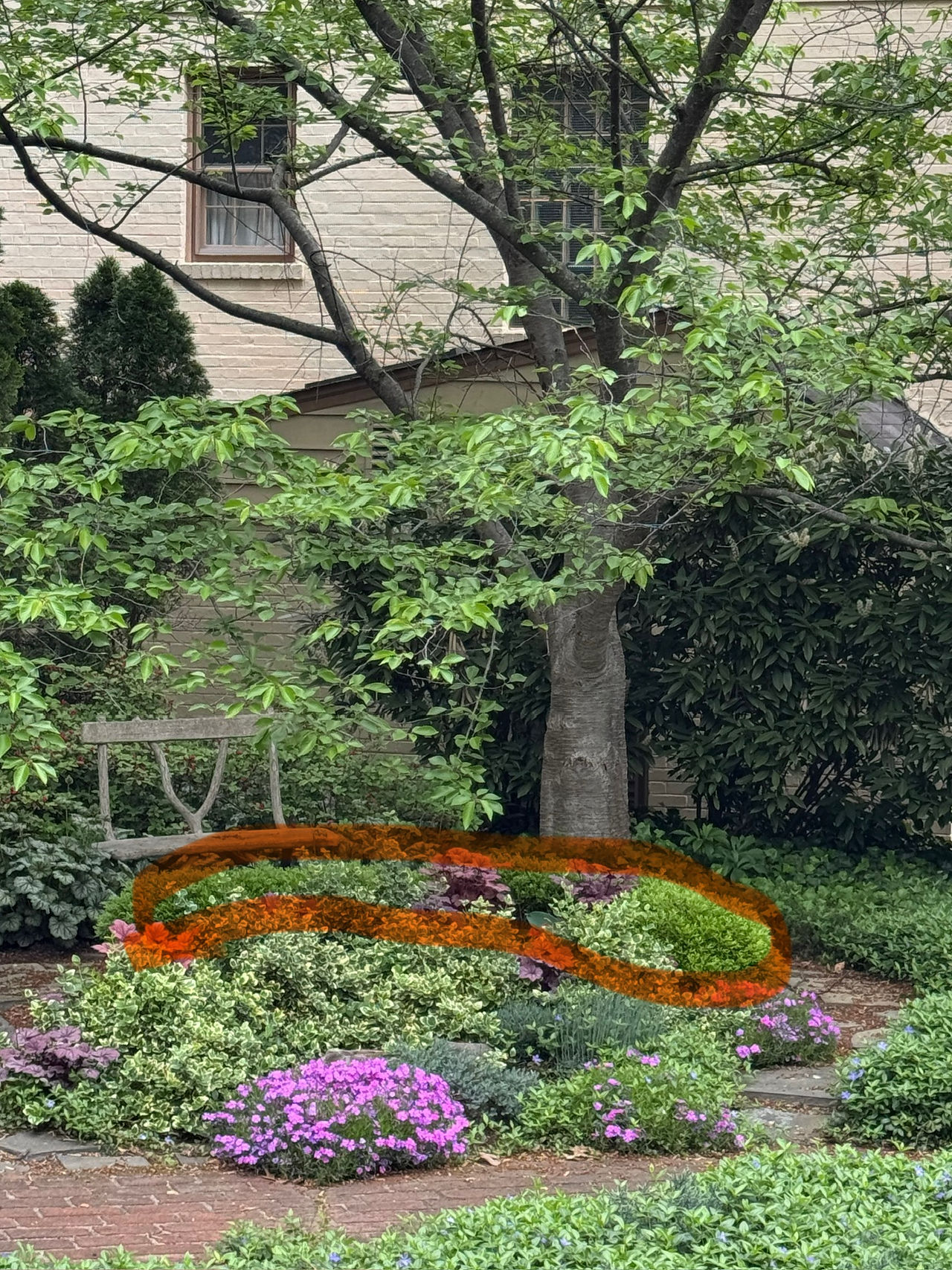 green shrubs