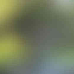 green plant stone urn