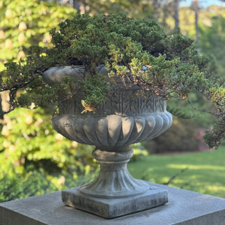 green plant stone urn