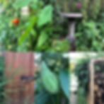 native and vegetable garden mosaic