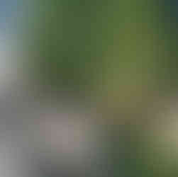 green plant blue container stone