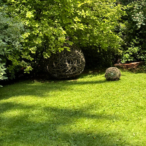 lawn shrubs and balls