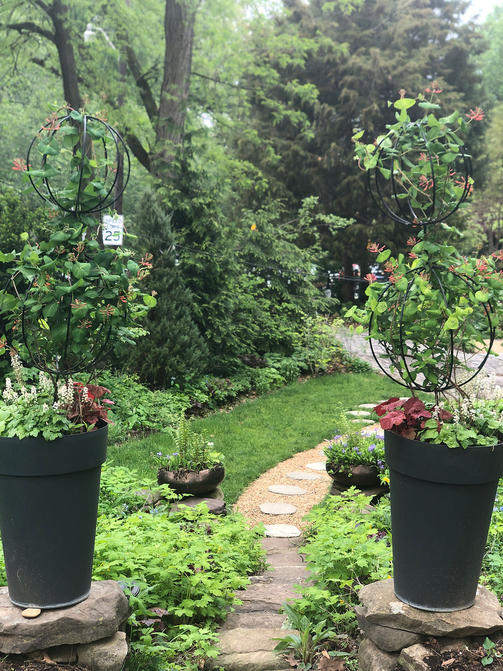 native plant garden walkway side garden