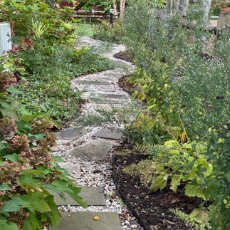 An Exuberant Native Garden