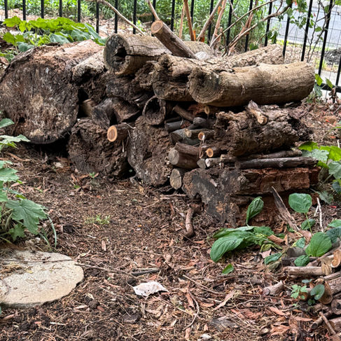 stack of wood
