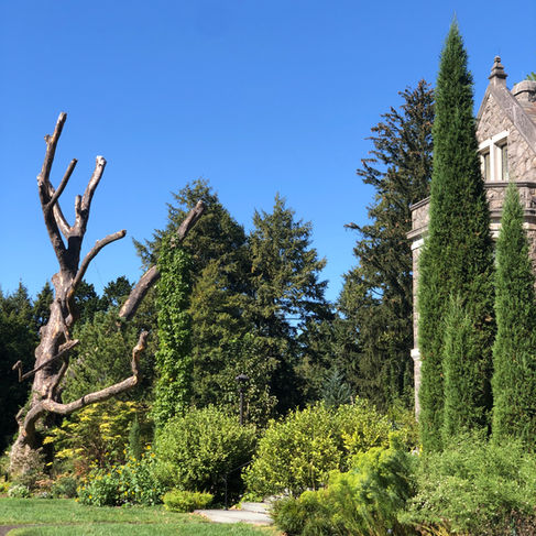 snag at stoneleigh gardens