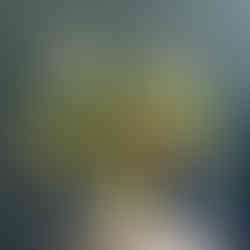 flower arrangement blue wall