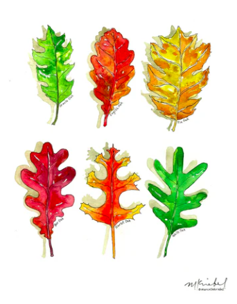 six painted oak leaves