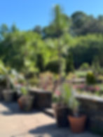 containers garden walls