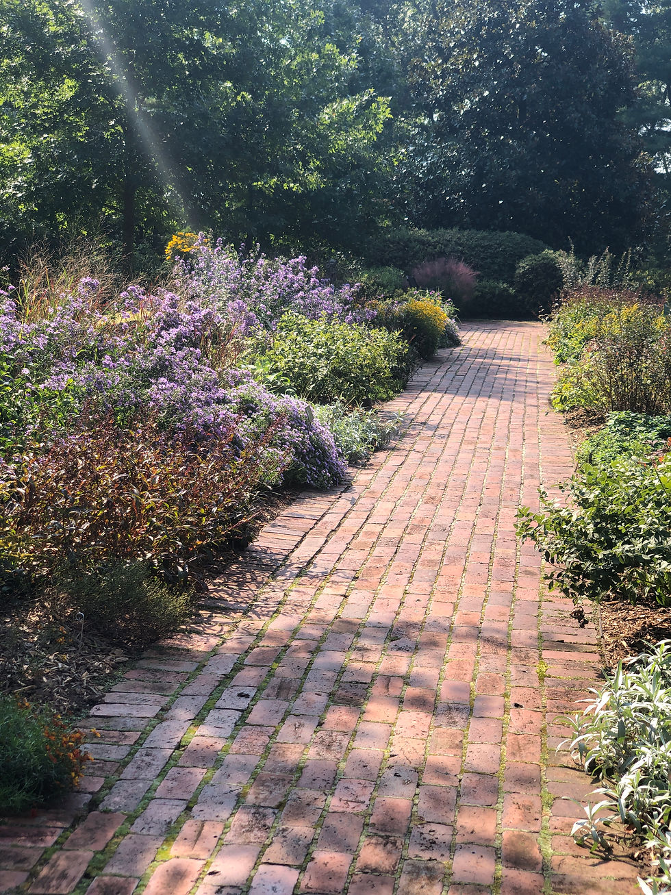 great example of how to use native perennials in a more forma design