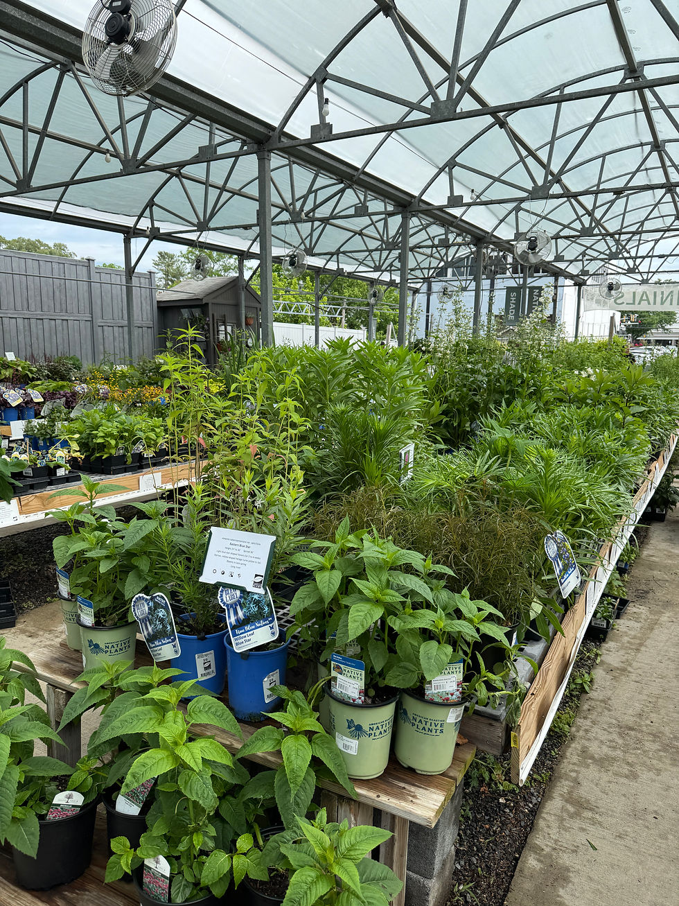 open sided green house at garden center