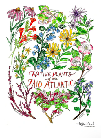 painting of plants