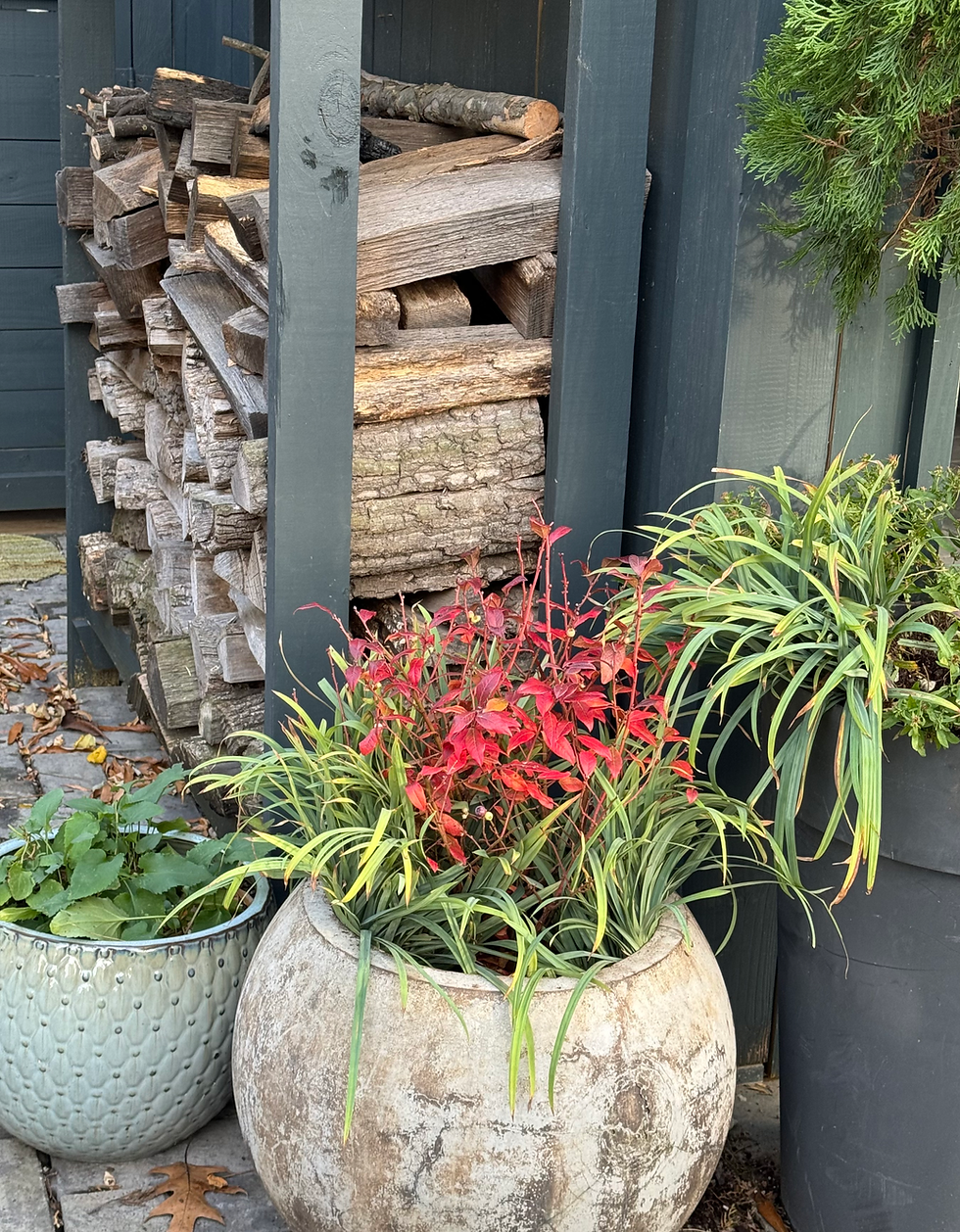 3 pots and firewood