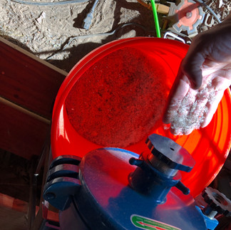 native seed processing